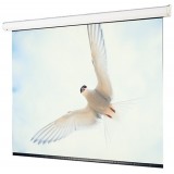 Draper EWSDR1717 MOTORIZED SCREEN